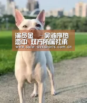 爱游戏官网
