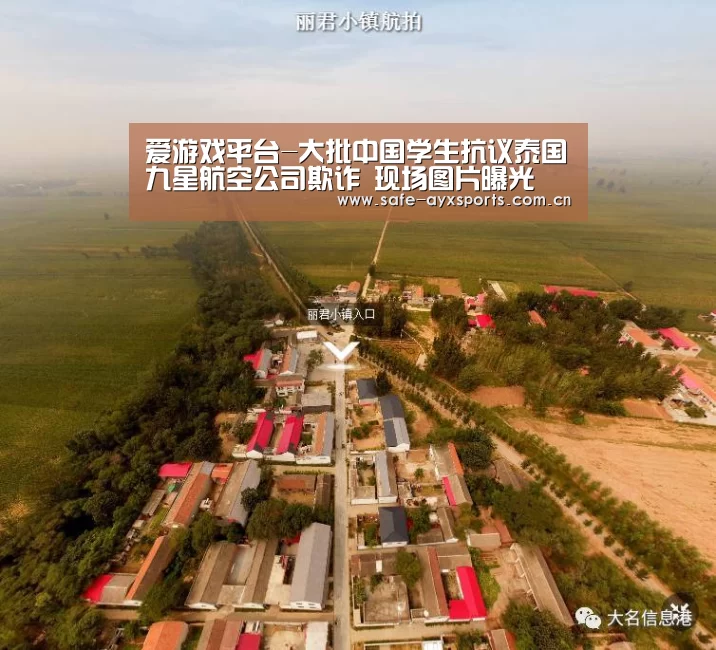 爱游戏平台-大批中国学生抗议泰国九星航空公司欺诈 现场图片曝光